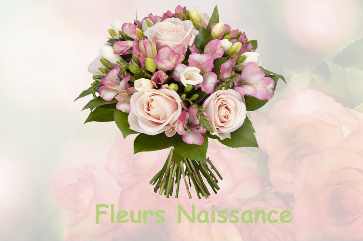 fleurs naissance SAINT-MARTIN-DE-SALENCEY